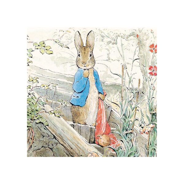 Peter Rabbit Gets Caught Greetings Card