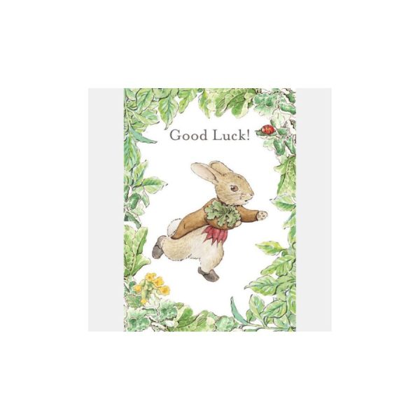 Benjamin Bunny 'Good Luck!' Card