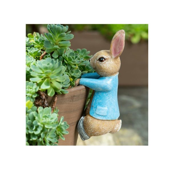 Peter Rabbit Hanging Plant Pot Buddy