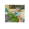 Peter Rabbit Climbing Plant Pot Buddy