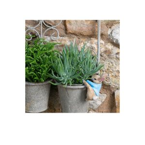 Bronze, Beatrix Potter, Peter Rabbit, Potty Feet, Set of 3, Plant Pot  Stand, Plant Pot Decor, Plant Pot Decoration, Antique Decor, Garden 