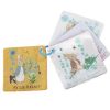 Peter Rabbit Play and Go Squares