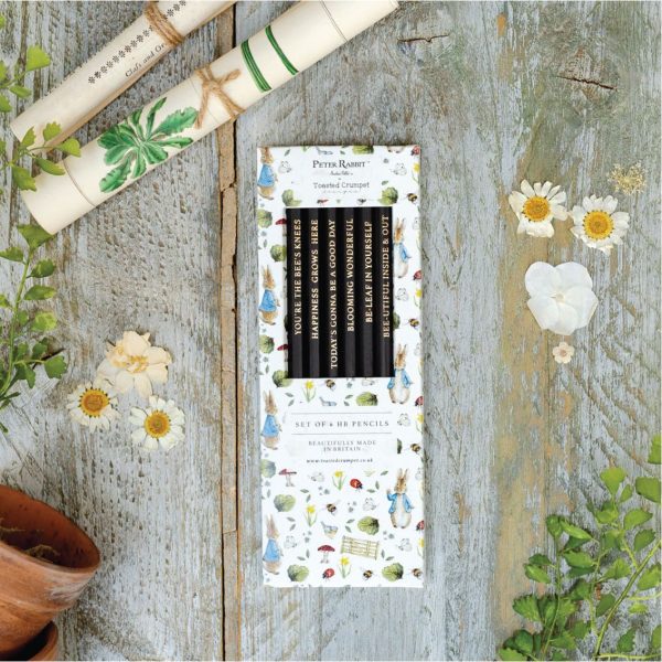 Peter Rabbit “Fresh Meadow Breeze” Set of 6 Pencils