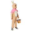 Flopsy Bunny Classic Costume