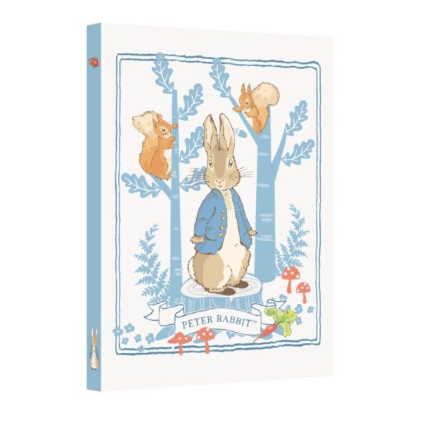 Peter Rabbit Forest Picnic A5 Notes and List Pad