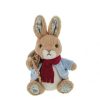 Peter Rabbit Christmas Musical Small Soft Toy