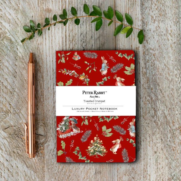 Peter Rabbit “A Christmas Wish” A6 Lined Pocket Notebook