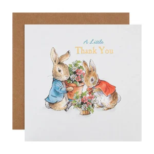 Peter Rabbit & Flopsy Bunny Thank You Card