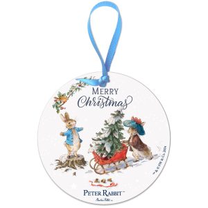 The Original Metal Sign Co – Peter Rabbit & Sledge Christmas Decoration