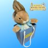 Peter Rabbit Small Soft Toy in WOBP Gift Bag