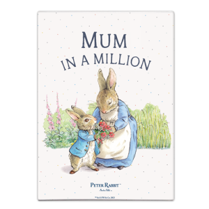 The Original Metal Sign Co – Mum in a Million Fridge Magnet