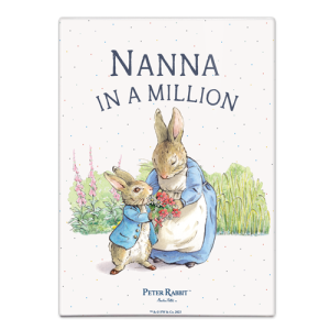 The Original Metal Sign Co – Nanna in a Million Fridge Magnet