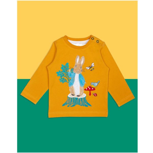 Blade & Rose Peter Rabbit Woodland Top