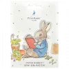 Peter Rabbit Reading Sew on Patch