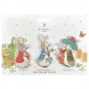 Peter Rabbit Sew on Patch Set