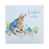 Peter Rabbit Charity Easter Cards - Pack of 10