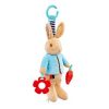 Peter Rabbit Activity Toy